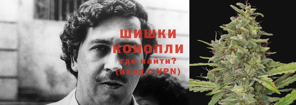 эйфоретик Горняк