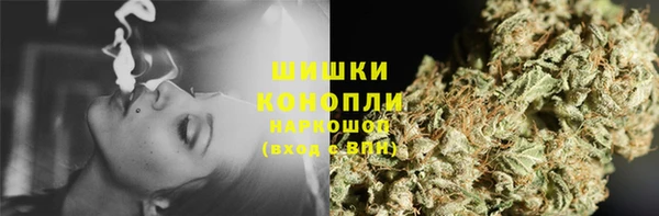 дмт Горно-Алтайск