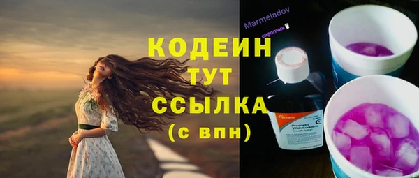 крисы Горнозаводск