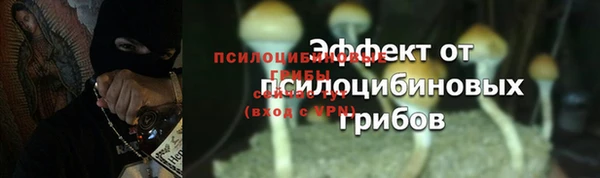 крисы Горнозаводск