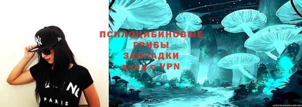 эйфоретик Горняк