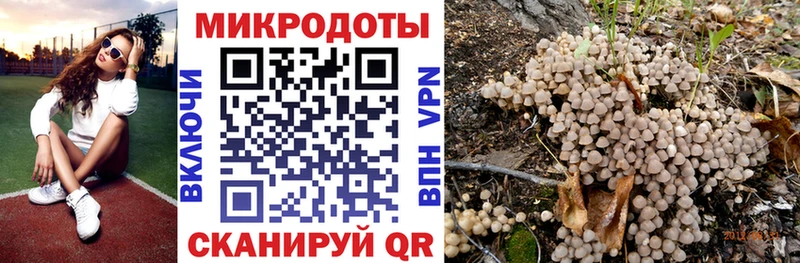 Псилоцибиновые грибы ЛСД  Купить где  Партизанск 